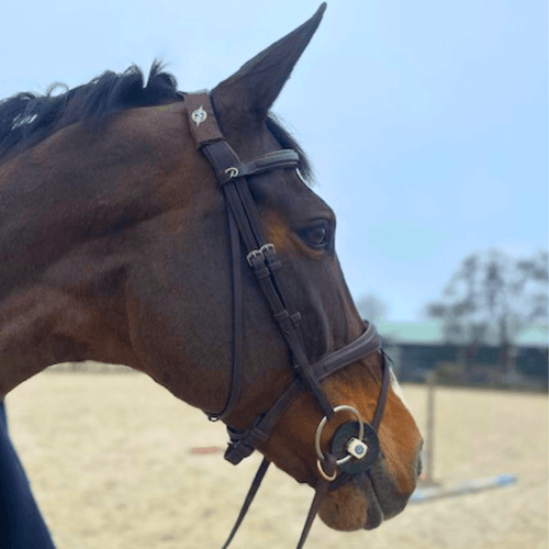 AV Edge paarden patch voor balans en focus